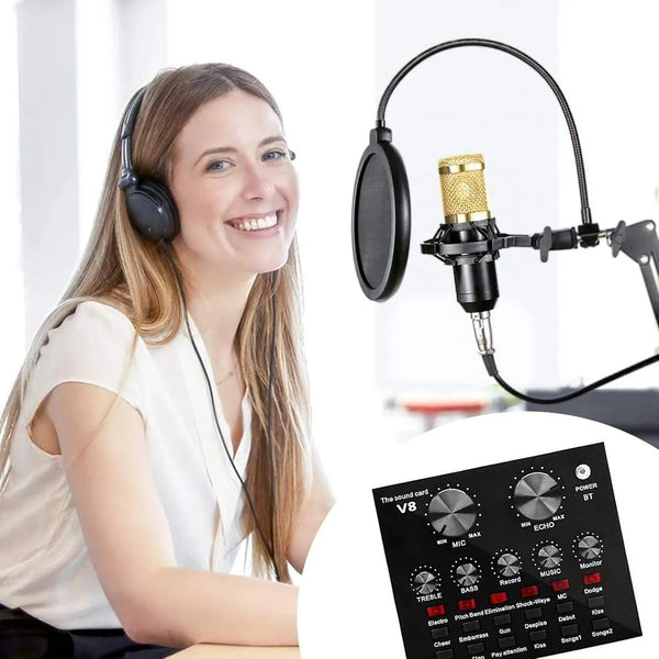 Condenser Microphone with Alloy-Arm Mic holder BM 800